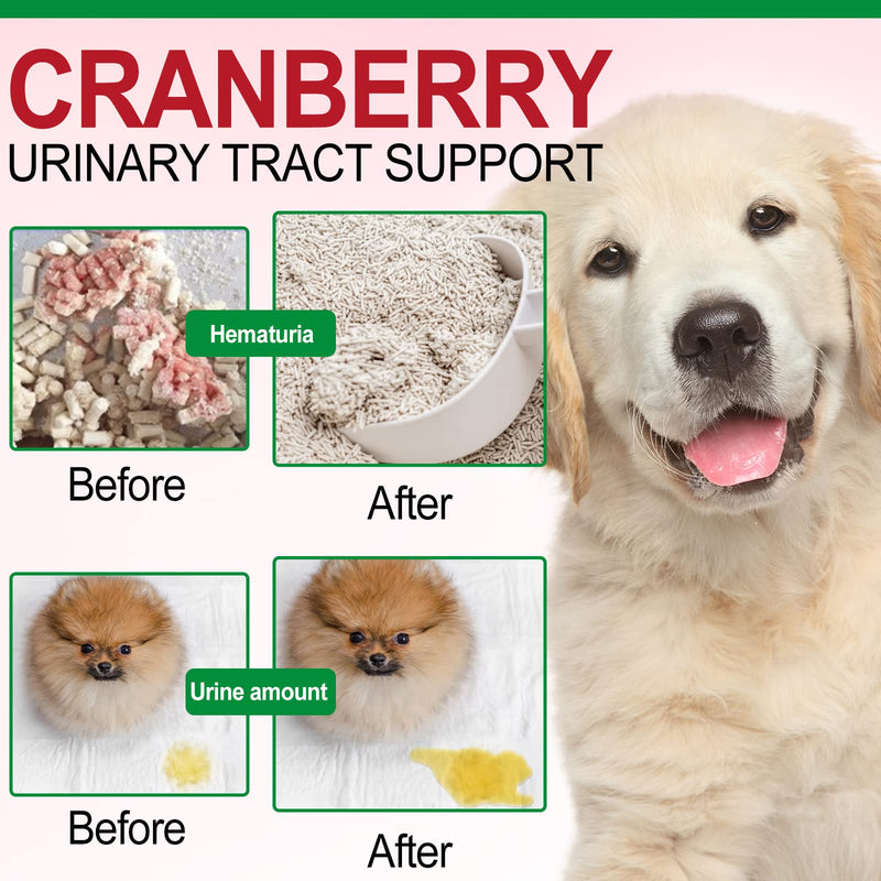Oimmal Cranberry Bladder Health for Dogs - 150 Cranberry for Dogs - Dog Cranberry Supplement - Help Support Dog Urinary Tract Health, Dog Bladder Support, Kidney Support for Dogs - PawsPlanet Australia