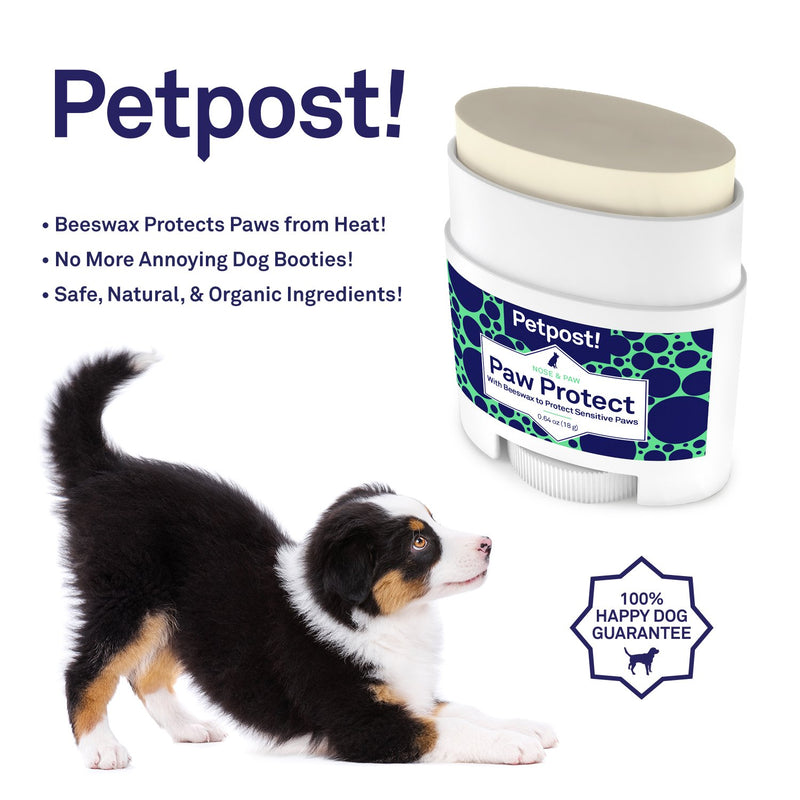 Petpost | Paw Protection for Dogs - Organic Sunflower Oil and Beeswax Balm for Hot Pavement - Wax Coats Dog Feet to Prevent Burns from Heat & Cold .64 - PawsPlanet Australia