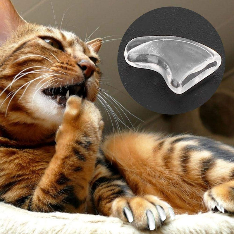 TICFOX Pet Cat Nail Cover Soft Paw Cover Sun Protection Cat Paw Care Nail Claw Cover(L) - PawsPlanet Australia