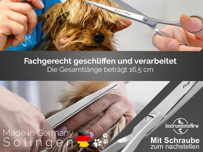 Grooming scissors from Solingen Dog hair scissors Paw scissors with one-sided micro-serration Made in Germany Dog scissors with curved cutting surface for grooming dogs cats pets (16.5 cm) 16.5 cm - PawsPlanet Australia