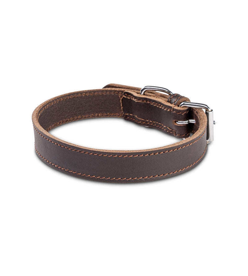 Dog collar leather - fat leather dog collar leather collar made of genuine leather Fat-Tony dark brown (L) L - (45.5cm - 51.5cm) - PawsPlanet Australia
