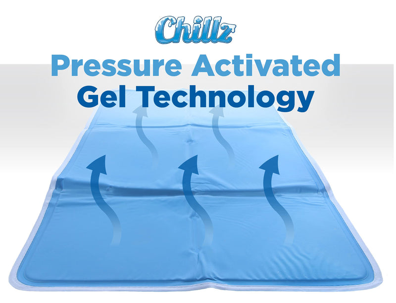 CHILLZ Cooling Pad for Dogs – Pressure Activated Gel Dog Cooling Mat, Perfect for Hot Summer Days - No Refrigeration or Electricity Required Medium (9-20 Lbs.) Blue - PawsPlanet Australia