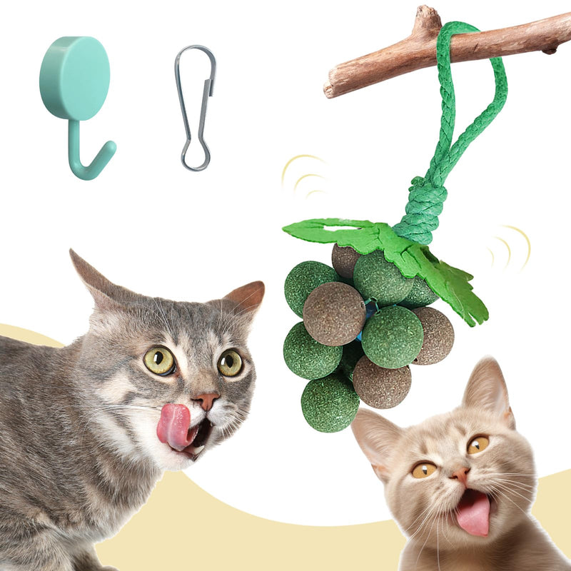PAKESI Catnip Toys Balls,Set of 9 Catnip Balls and 4 Bug Berry Balls,Teeth Cleaning Cat Bite Toy, Cat Wall Treats, Interactive Cat Toys for Hours of Play - PawsPlanet Australia