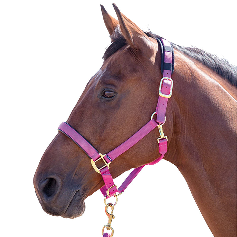 Topaz Nylon Head Collar Red Small Pony - PawsPlanet Australia