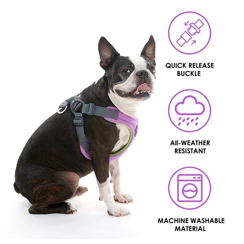 Gooby Escape Free Memory Foam Harness - Purple, Large - No Pull Step-In Small Dog Harness with Four Point Adjustment - Perfect on the Go Dog Harness for Medium Dogs No Pull and Small Dogs Large Chest (42~61.5 cm) - PawsPlanet Australia