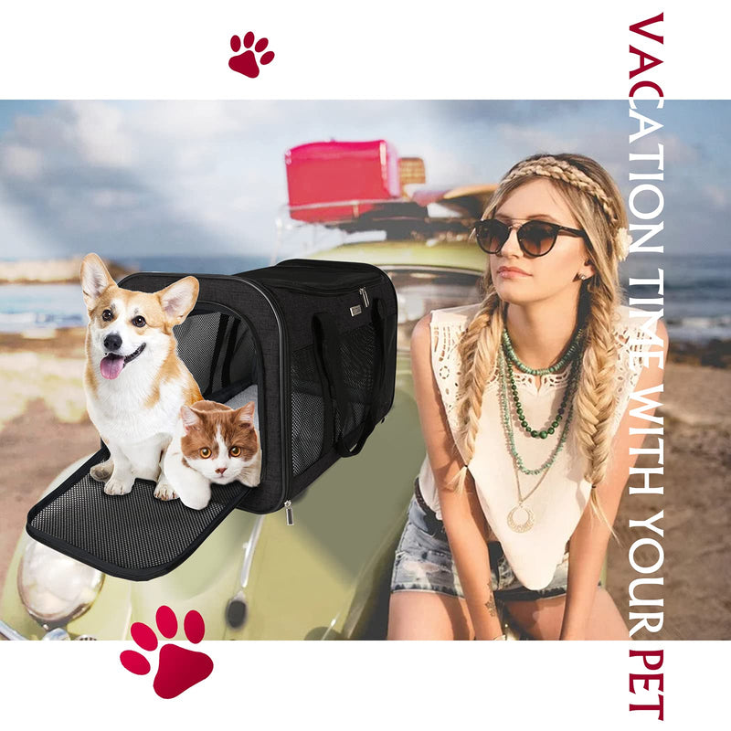 BAGLHER丨Pet Travel Carriers, Suitable for Small and Medium-Sized Cats and Dogs Pet Soft Carrier; Thickened Bottom, Ventilated Design, Three-Way Entrance; Suitable for Travel, Hiking, and Outdoor Use. M(17*11*11 inch) Black - PawsPlanet Australia