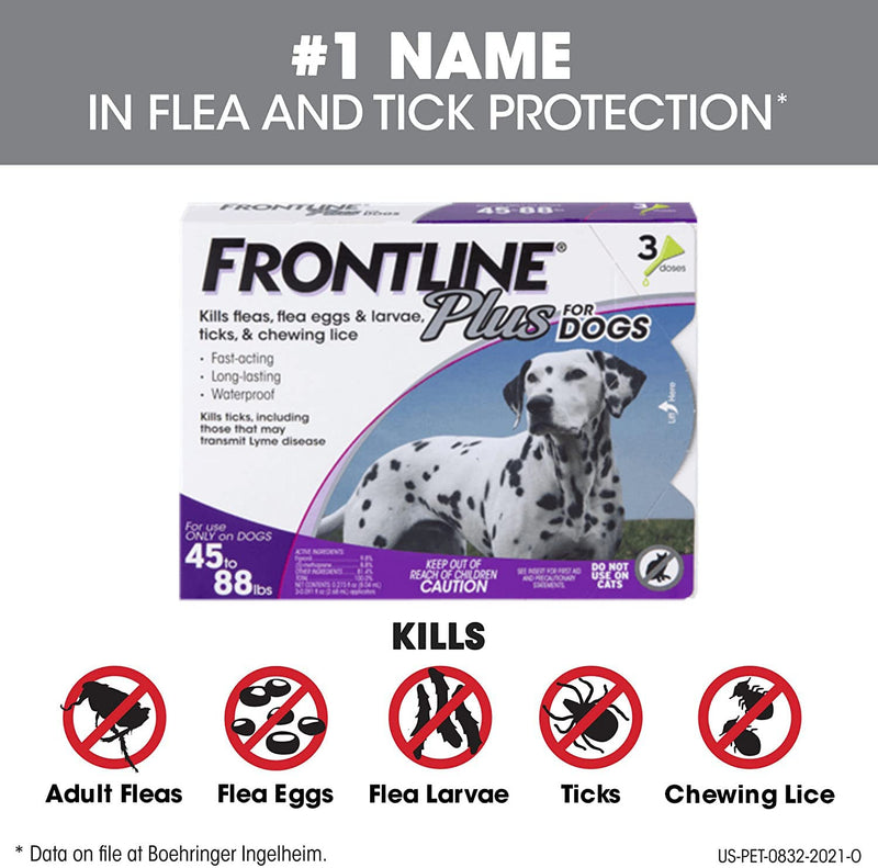 FRONTLINE Plus Flea and Tick Treatment for Dogs (Large Dog, 45-88 Pounds) 3 Count - PawsPlanet Australia