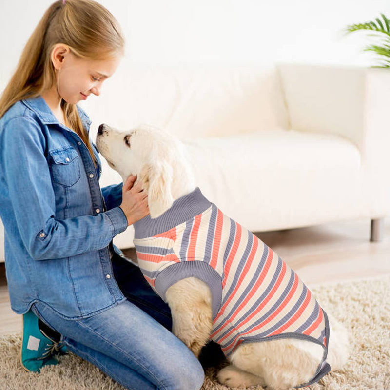 Recovery suit for dogs, castration wound protection suits, puppies dog bodysuit after surgery, post-operative protective clothing, wounds, anti-licking, e-collar alternative after operations (red, XS) red - PawsPlanet Australia