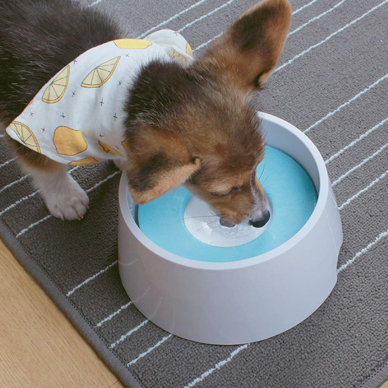 [Australia] - VOOO4CC Dog Drinking Bowl Not Wet Mouth Anti-Splash Float Separation Cat Feeding Bowl Blue 