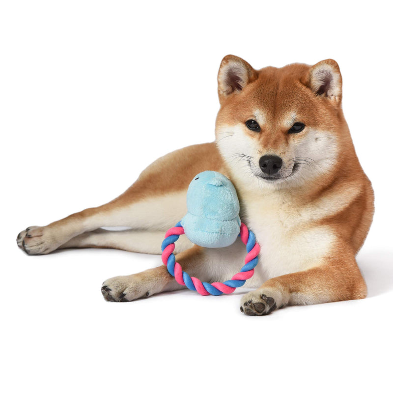 Toy for Dogs Blue - PawsPlanet Australia