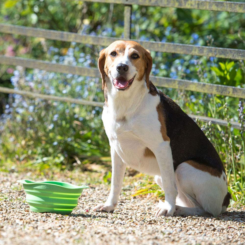 Beco Travel Bowl - Collapsable Silicone Food and Water Bowl for Dogs - M - Pink Medium - PawsPlanet Australia