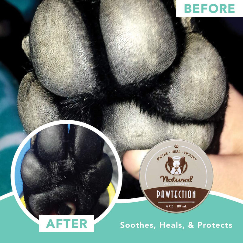 Natural Dog Company PawTection Dog Paw Balm Tin, Protects Paws from Hot Surfaces, Sand, Salt, & Snow, Organic, All Natural Ingredients 4 Ounce (Pack of 1) - PawsPlanet Australia