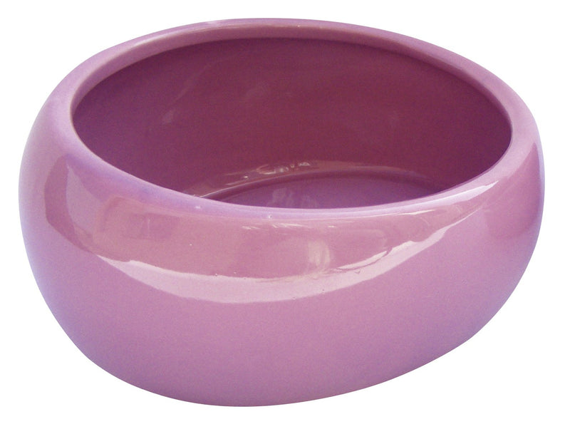 RC Hagen 61685 Living World Ergonomic Dish, Pink Large - PawsPlanet Australia