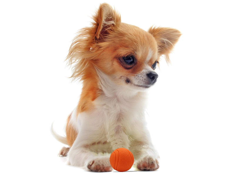 Pet Touch 2 X 5cm Solid Core Rubber Ball HIGH BOUNCING Dog Toys Indestructible Virtually Tough Dog Toys Interactive Dog Toys Strong Rubber Balls for dogs (Small (50mm), 2 Balls(Blue+Orange)) Small (50mm) 2 Balls(Blue+Orange) - PawsPlanet Australia