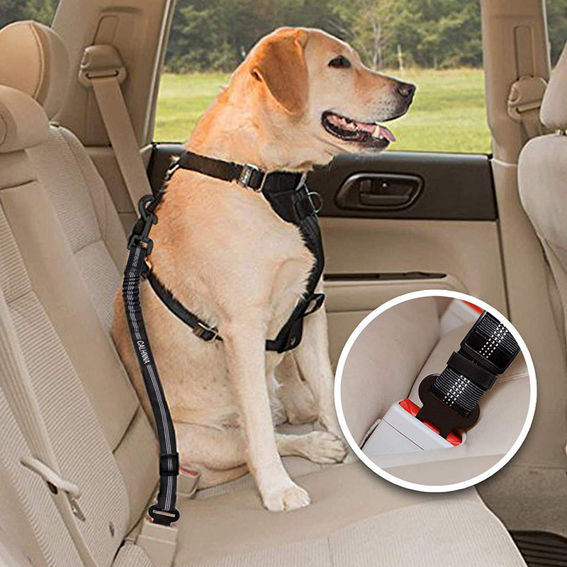 [Australia] - Dolebean 2 Pieces Cat Dog Car Seat Belt Adjustable Pet Seat Belts with Doggy Whistle and Portable Water Bowl for Pets and Elastic Vehicle Seatbelt Harness for Dogs and Cats Black&Black 