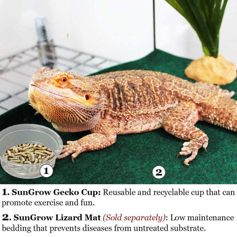 [Australia] - SunGrow Gecko Food and Water Containers, 0.5 Ounce Capacity, Plastic Transparent Cups, Reusable, Recyclable, Disposable, Works with All Types of Food, Fits Various Reptile Feeder, 100 Pieces 