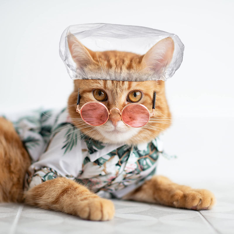 Xuniea 50 Pieces Pet Shower Cap Reusable Cat Shower Cap Transparent for Sphynx Cats Small Dog Shower Hat with Elastic Band for Cat Kitten Small Dog Puppy to Protect Their Ears - PawsPlanet Australia