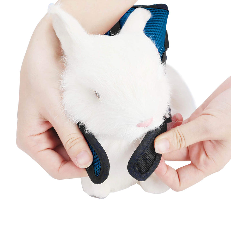Pettom Bunny Rabbit Harness with Stretchy Leash Cute Adjustable Buckle Breathable Mesh Vest for Kitten Small Pets Walking S(Chest:10.8-12.9 in) Blue - PawsPlanet Australia