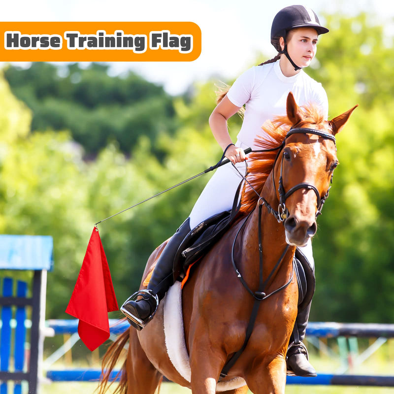 Horse Training Flag 4 Pieces Horse Training Equipment Horsemanship Nylon Flag (Red, Black, Green, Blue) Red, Black, Green, Blue - PawsPlanet Australia