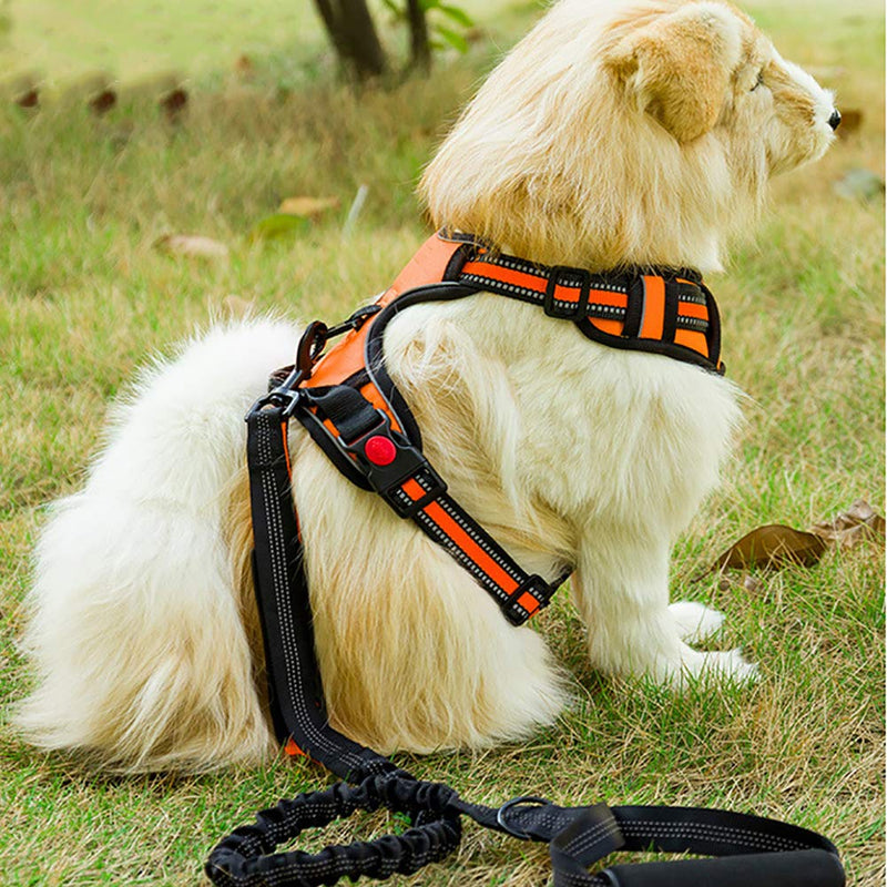 Retractable dog leash large dogs, dual handles, adjustable hands-free leash, reflective running leash, 360° rotation increase adjustable, reflective stitching for medium to large dogs, jogging - PawsPlanet Australia