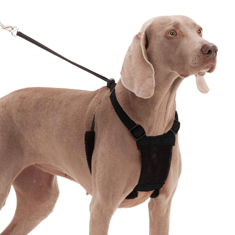 Dog Harness - No pull and No choke humane Design, Non Pulling Pet Harness with Mesh vest, Easy Step-in Adjustable Mesh Harness for control, Patented Dog Pull Control Technology by Sporn Small Black - PawsPlanet Australia