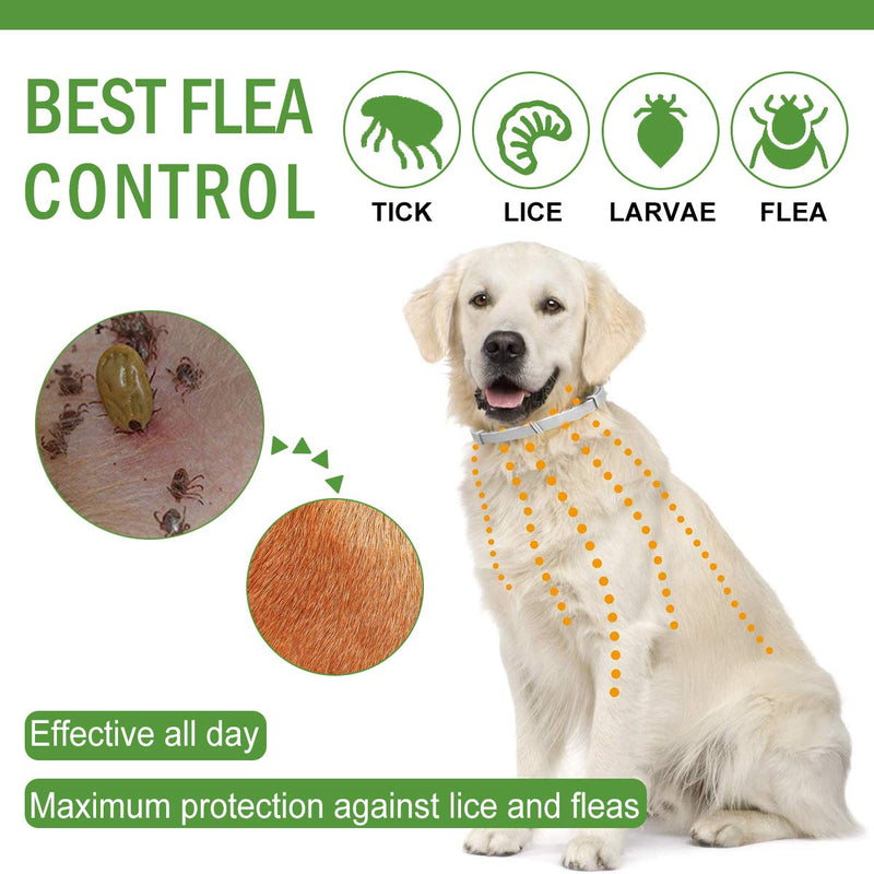 CBROSEY Flea Tick Collar,Flea Treatment For Dogs,Cat Flea Treatment,Flea Treatment Collar,Waterproof Adjustable 25 inches Anti Flea Collar Fits for Most Dogs Cats Green - PawsPlanet Australia