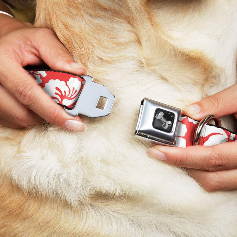 Buckle-Down Dog Collar Seatbelt Buckle Hibiscus Light Red White Available in Adjustable Sizes for Small Medium Large Dogs 1.5" Wide - Fits 18-32" Neck - Large - PawsPlanet Australia