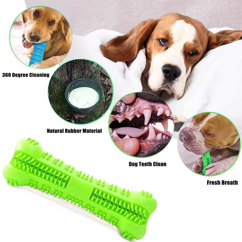 BDUK Dog Toothbrush Chew Toy Bite Resistant Natural Silica gel Non-Toxic Toy Bone Toothbrush Stick Dog Dental Chews Care Dog Teeth Cleaning for Small and Medium Breed-Puppy Dental Chew,(Green) Green - PawsPlanet Australia