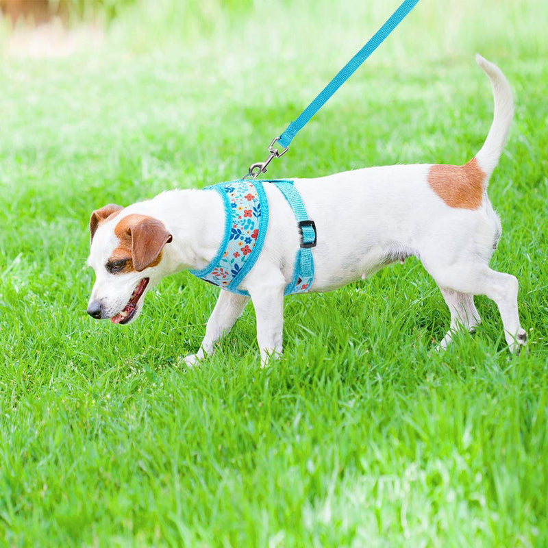 PUPTECK Breathable Dogs Harness Leash Set for Small Dogs Cats, Soft Adjustable Puppy Vest Harness No Pull with Floral Pattern S-Chest Girth: 14-18in Blue - PawsPlanet Australia