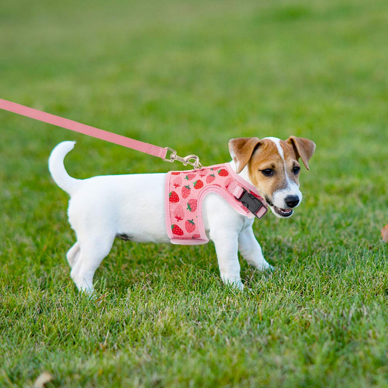 BINGPET Cat Harness and Leash Set - Escape Proof Cat Walking Harness with Cute Pink Strawberry Pattern, Soft Mesh Vest Harness, and Adjustable Pet Harness for Kitties Puppies Small Pets - PawsPlanet Australia