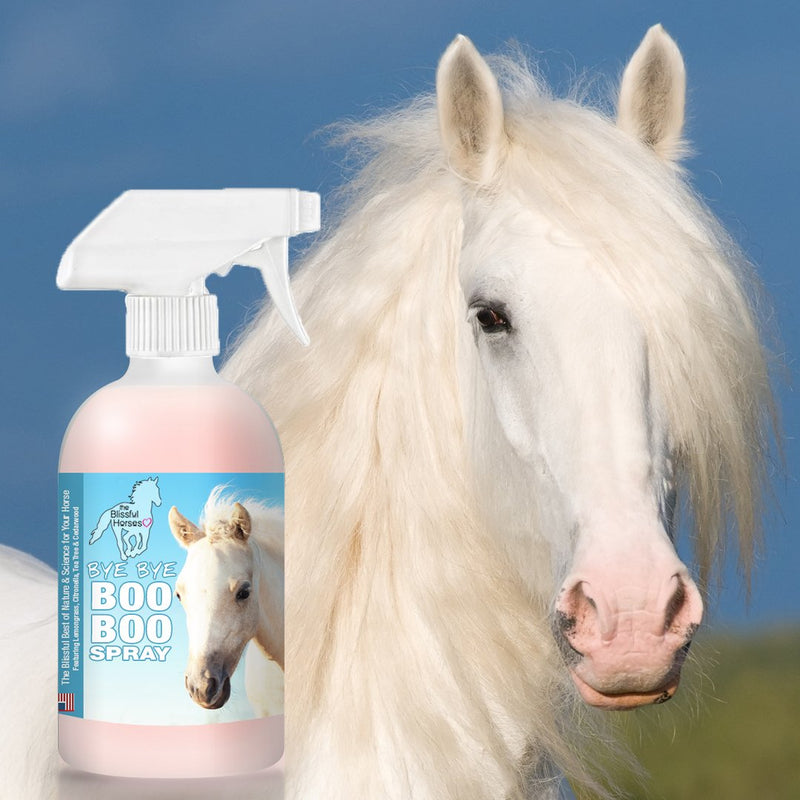 [Australia] - The Blissful Horses Bye Bye Boo Boo Spray All Natural Support, 16-Ounce 