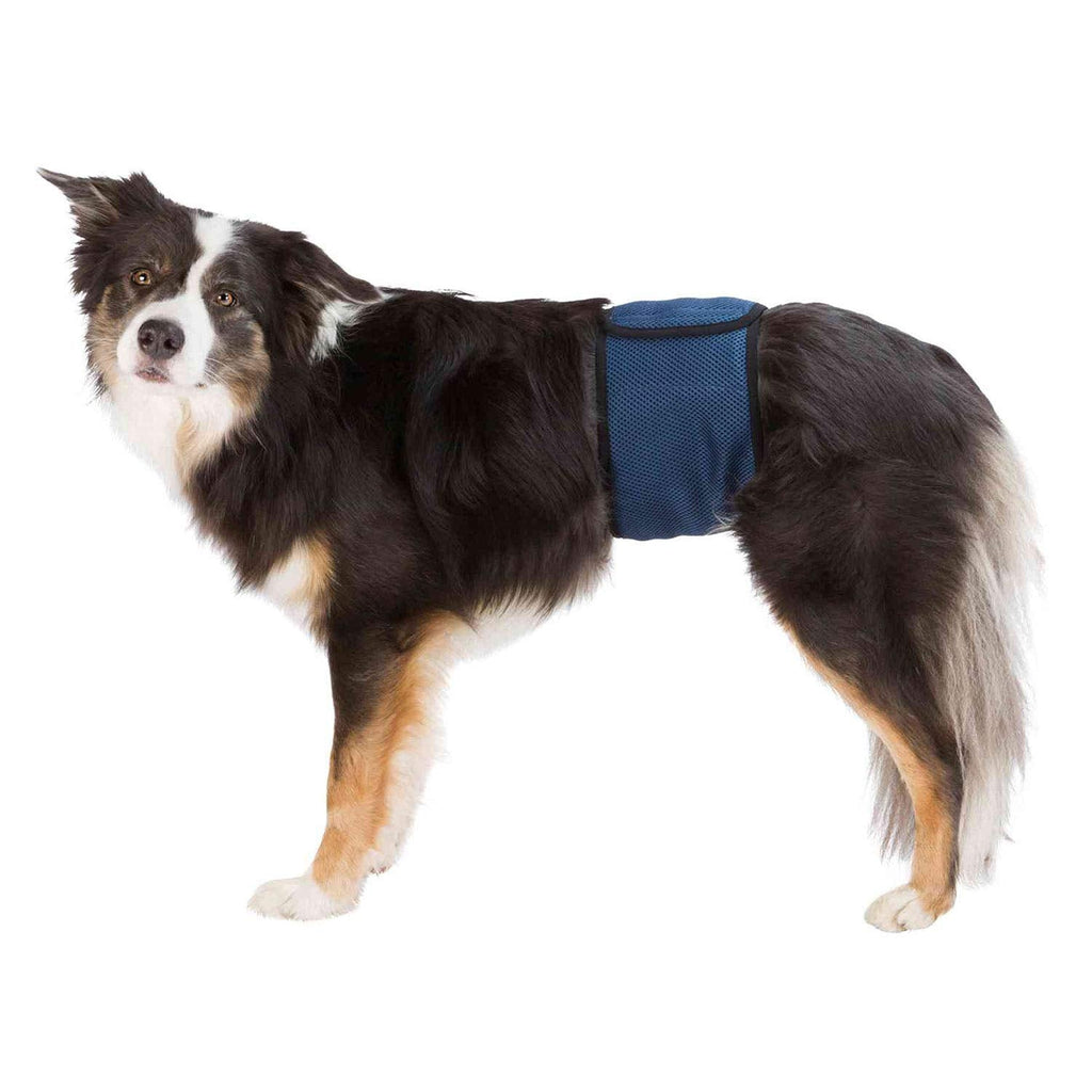 TRIXIE belly band for male dogs, XL: 65-75 cm - PawsPlanet Australia