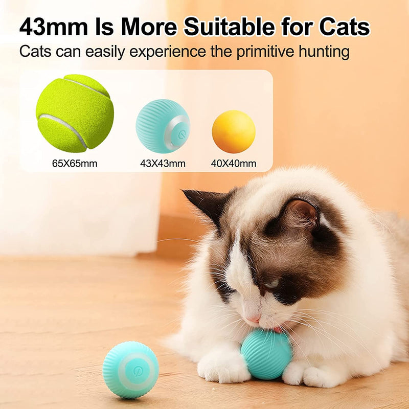 Havenfly Indoor Interactive Cat Toy Ball, Electric Cat Toy, Intelligent Moving Cat Ball, Stimulates Kittens' Hunting Curiosity, Nice Gift (Blue) Blue - PawsPlanet Australia