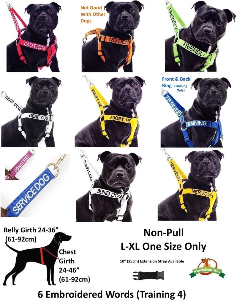 [Australia] - BLIND DOG White Color Coded Alert Warning 2 4 6 Foot Padded Dog Leash (No/Limited Sight) PREVENTS Accidents By Warning Others of Your Dog in Advance 6 Foot Leash 