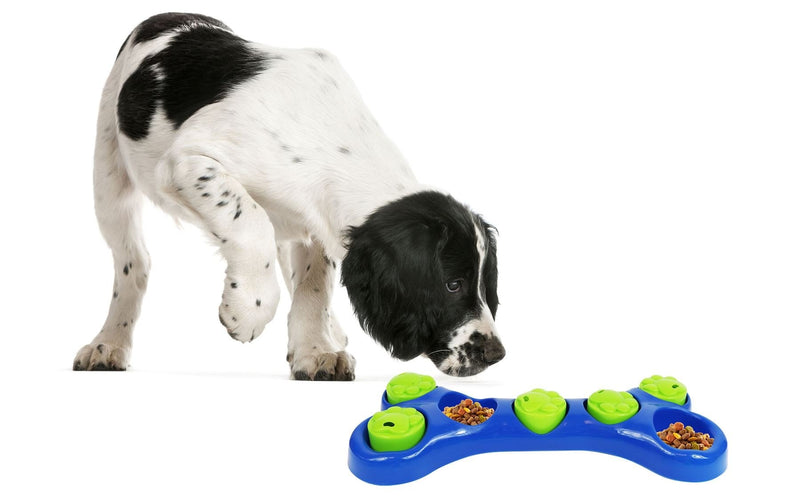 Smart Choice Pet Feeder Bowl Bone Shape Fun Puzzle Treat Slow Feeding Interactive Game Dog Training Rewards Hide & Seek - PawsPlanet Australia