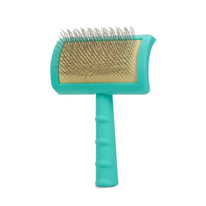 Jelly Pet Universal Slicker Brush for Dogs, Remove Tangles and Dead Undercoat, Doodle Huskie Sheep Dog Golden Retriever German Shepherd, Firm Pins, Teal, Large Head (3 in x 4 in) - Pins (Firm) - PawsPlanet Australia