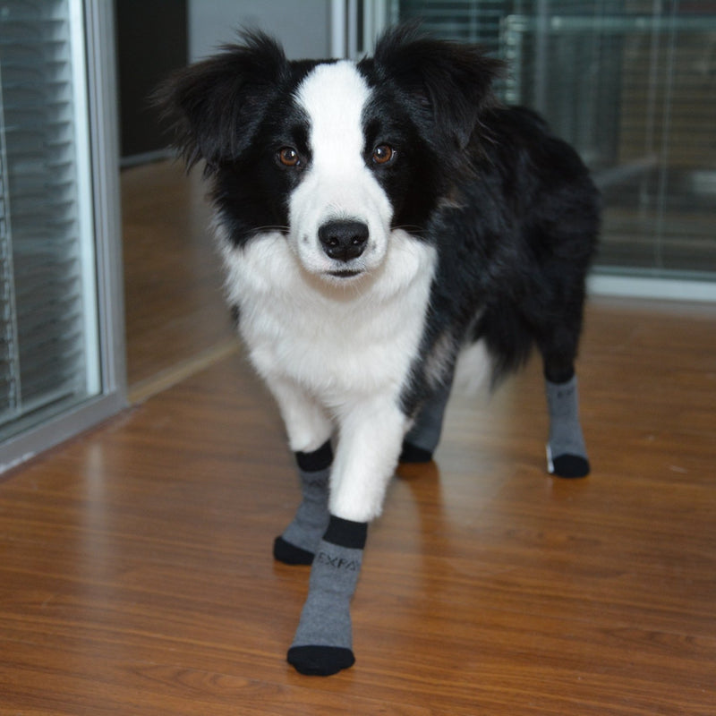 [Australia] - EXPAWLORER Anti-Slip Dog Socks Traction Control for Indoor Wear, Paw Protection Small Black 