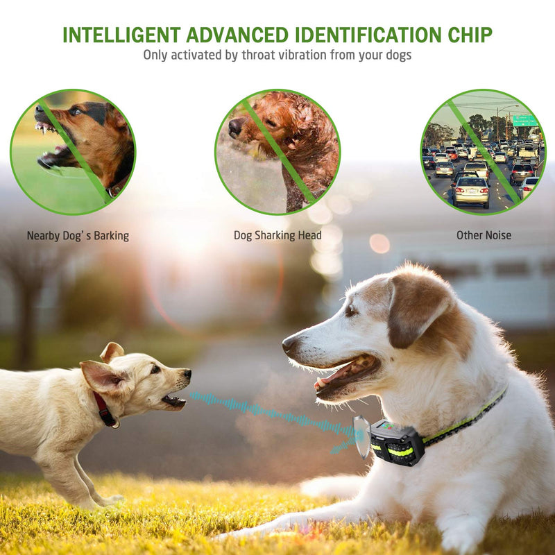 [Australia] - Icnow Bark Collar Barking Control Training Collar with Beep Vibration No Harm Shock Collar 5 Adjustable Sensitivity Control for Small Medium Large Dog with Extra Free Dog Leash 