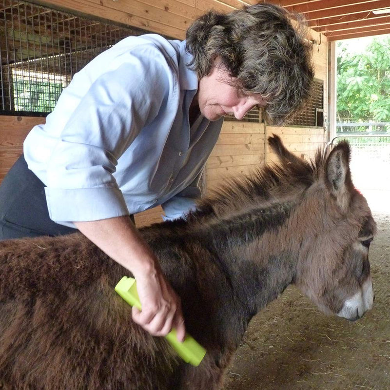 EquiGroomer Self-Cleaning Deshedding Grooming Horse Tool Brush Curry Comb Gently Removes Shedding Loose Hair, Dust, Dander Effectively and Painlessly. Safe for Sensitive Skin Blue - PawsPlanet Australia