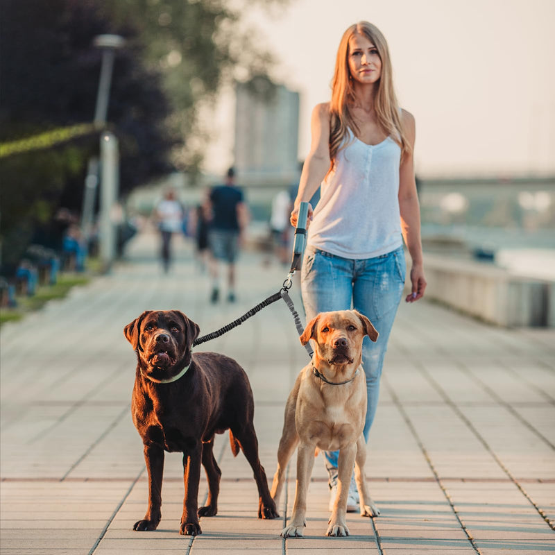 Double leashes for dogs, reflective dog leash, 360° rotatable, adjustable training leash for walking, training and jogging - PawsPlanet Australia