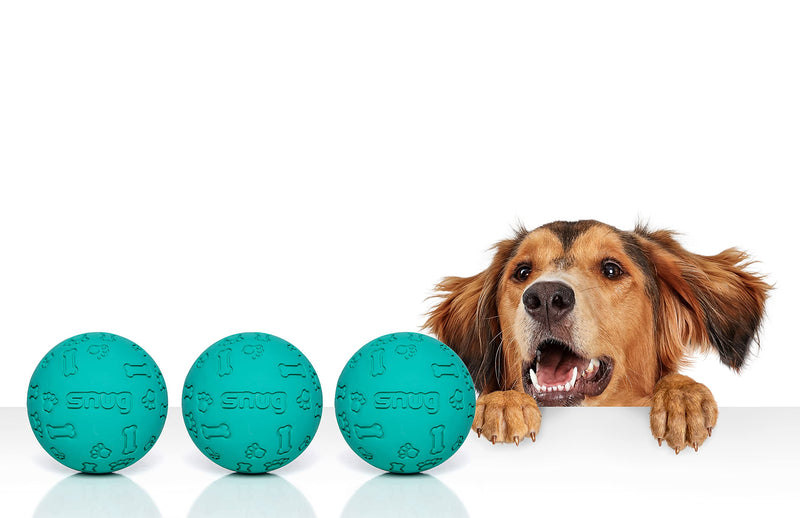 Snug Rubber Dog Balls for Small and Medium Dogs - Tennis Ball Size - Virtually Indestructible (3 Pack - Aqua) - PawsPlanet Australia