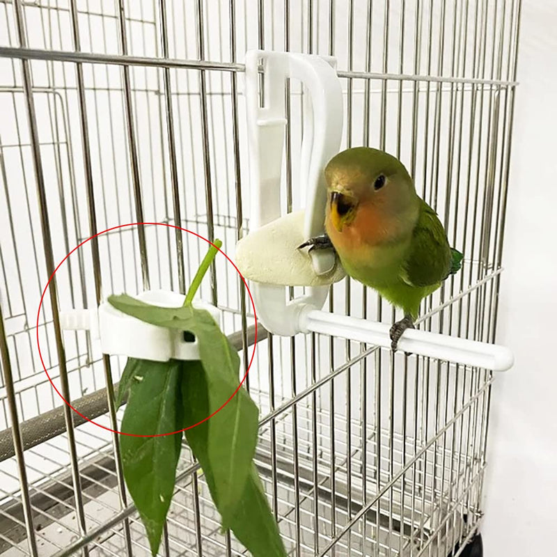 DonLeeving 12 Pack Bird Cage Food Holder Clips,Bird Cage Feeder Clip Food Holders Parrot Fruit Vegtable Clips for Budgie Parakeet Cockatoo Macaw Cockatiel Conure - PawsPlanet Australia