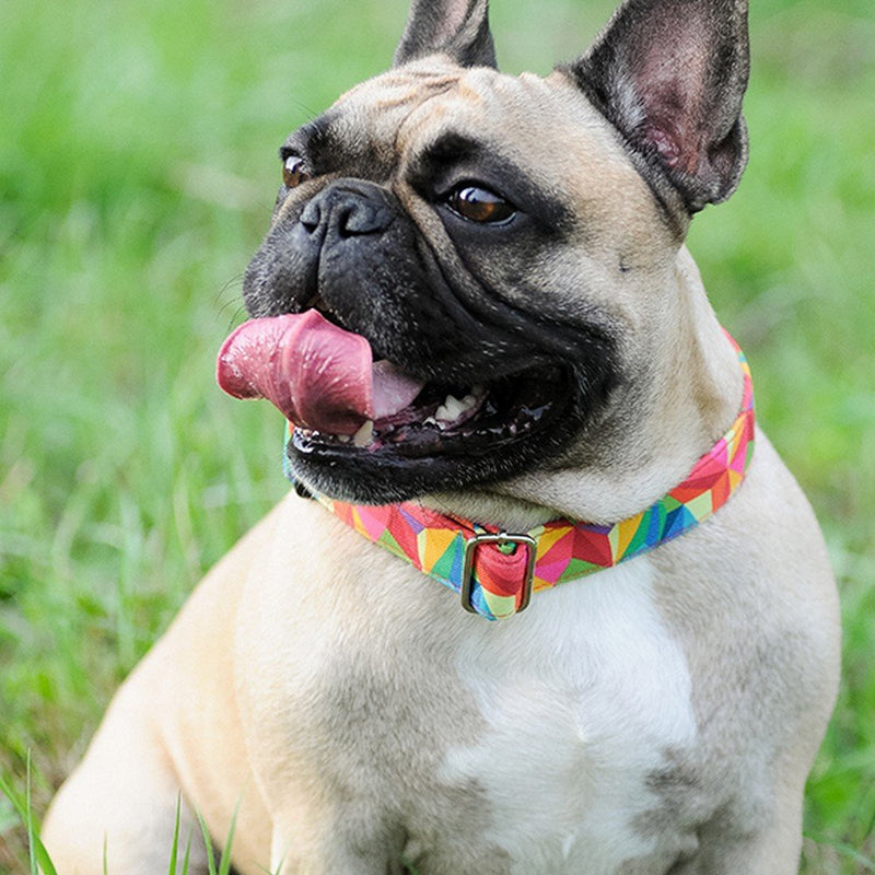 Dingo Patterned Collar for Dog with Plastic Buckle Handmade America Colorado Style 15510 - PawsPlanet Australia