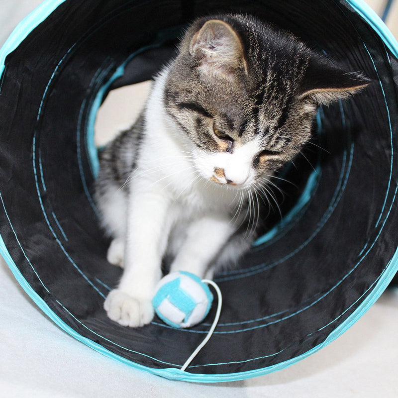 Asiv 3-Way Foldable play tunnel with shaky ball for Cat, Puppy, Kitten and rabbit - PawsPlanet Australia