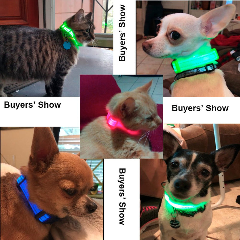 [Australia] - BSEEN Reflective Dog Collar& Leash Set, Double Layer Nylon Webbing Pet Collar& Leash Reflective Tapes, Pet Accessories Small Medium Large Dogs XS Green 