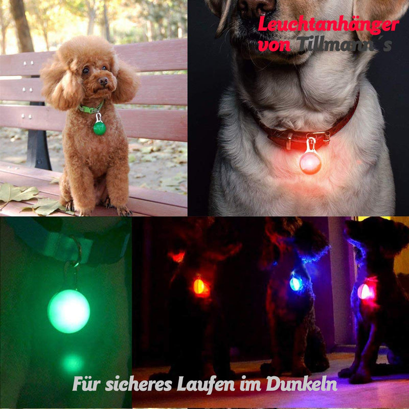 O³ light pendant, 6 pieces, safety clip with 3 light modes, flashing light for school bags, children, dogs, cats, joggers, campers, address tag for free - PawsPlanet Australia