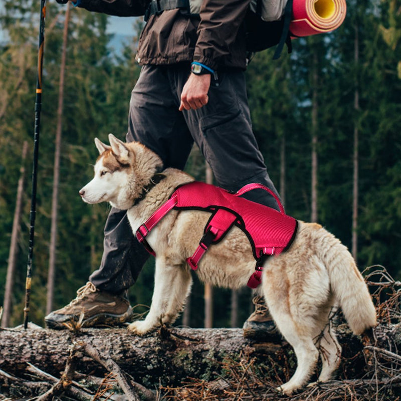 Didog Multi-Use Escape Proof Dog Harnesses for Escape Artist Dogs,Reflective Adjustable Padded Sports Vest Harlter for Medium Large Dogs Hiking Walking Trails,Rose,MM:chest 58-82cm,Back length: 26cm rose - PawsPlanet Australia