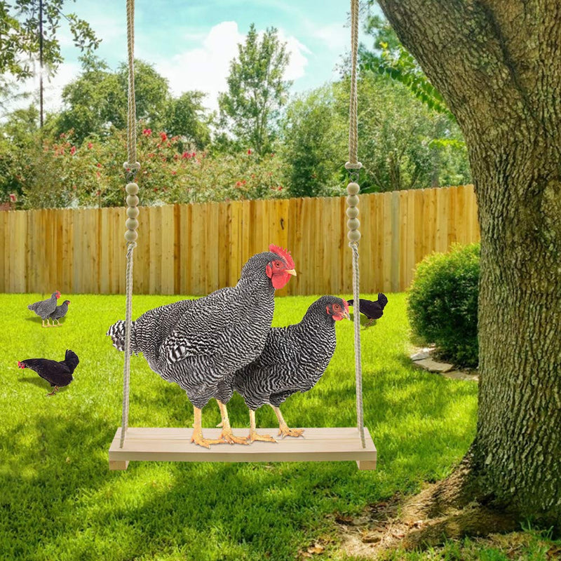 Chicken Swing Toys and Chicken Toys Xylophone, 2 Pack Chicken Toys for Poultry Run Rooster Hens Chicks Pet Parrots Macaw Entertainment Stress Relief for Birds - PawsPlanet Australia