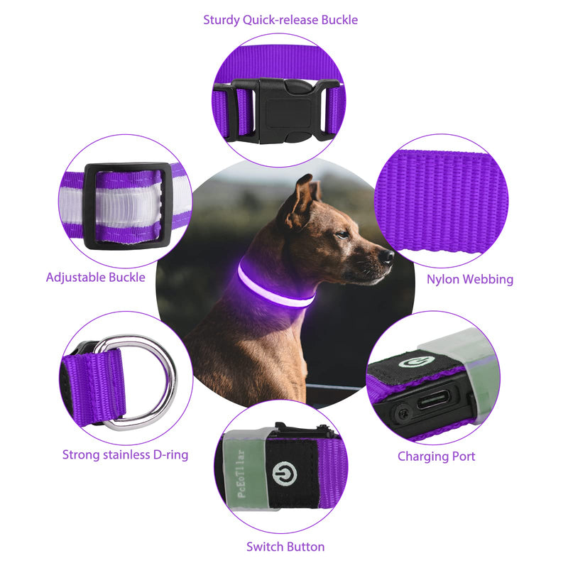Light Up Dog Collar Rechargeable USB-C, LED Collar for Dogs Waterproof Dog Collar Luminous 7 Colors Flashing Light Adjustable Lightweight Collar Dogs for Small Medium Large Dogs, Purple SS(28-40cm/11-15.7inch) - PawsPlanet Australia