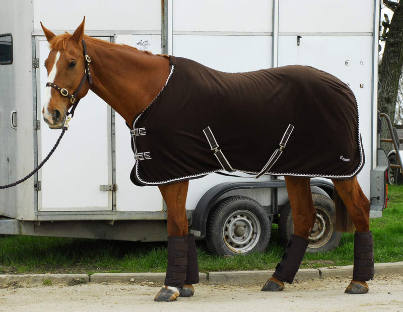 Rhinegold Elite Half Length Travel Boots.Set of four Black Full - PawsPlanet Australia
